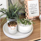 Medium Signature Collection Soy Candle